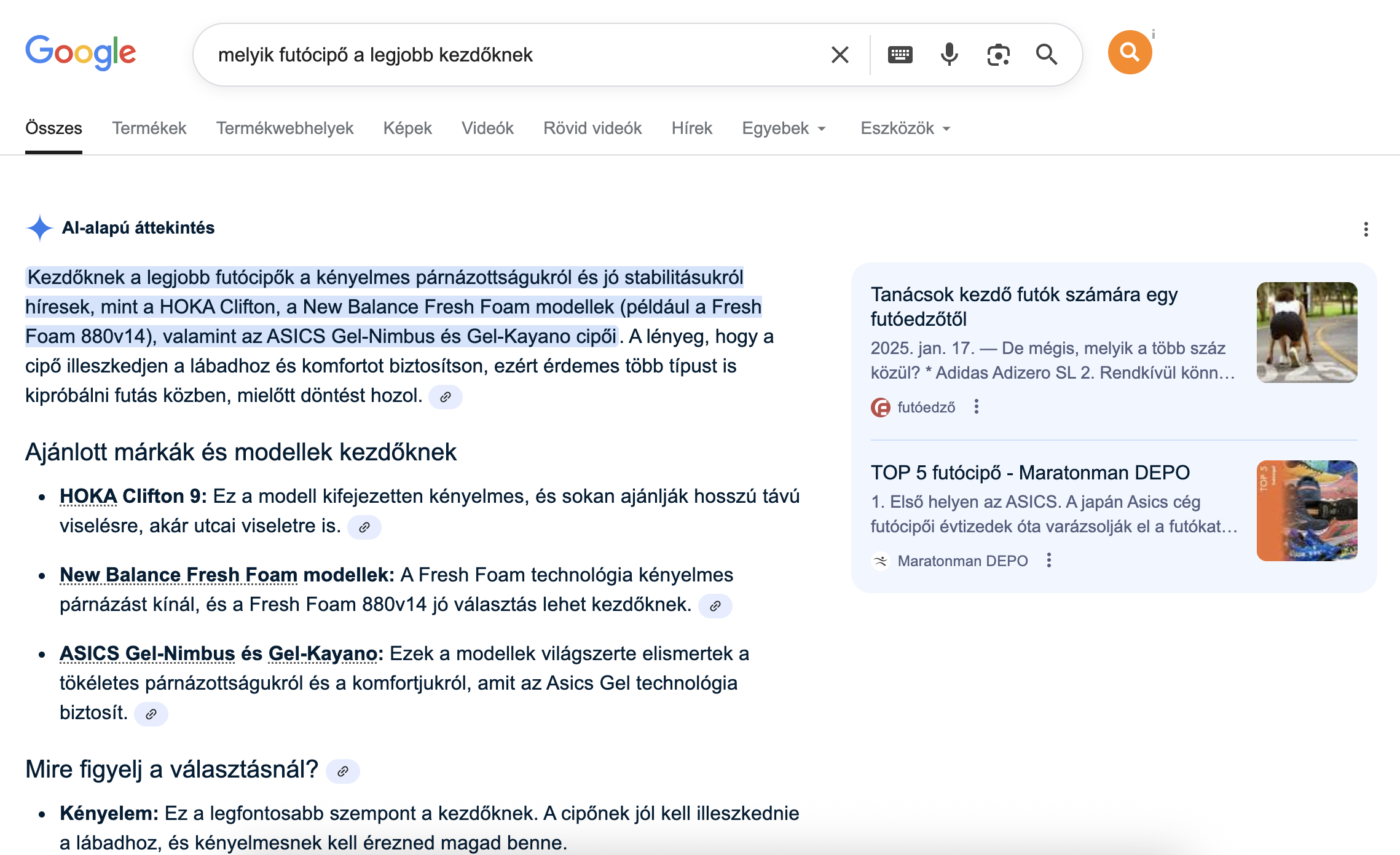 Google ai overview 